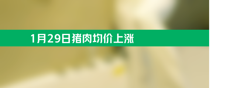 1月29日猪肉均价上涨 猪肉消费年底开始攀升