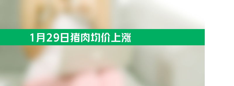 1月29日猪肉均价上涨 鸡蛋比上周五上升0.1%