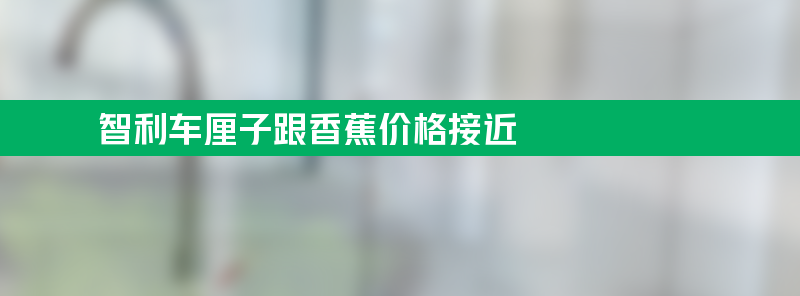 智利华人：车厘子跟香蕉价格接近 在当地算是最便宜水果