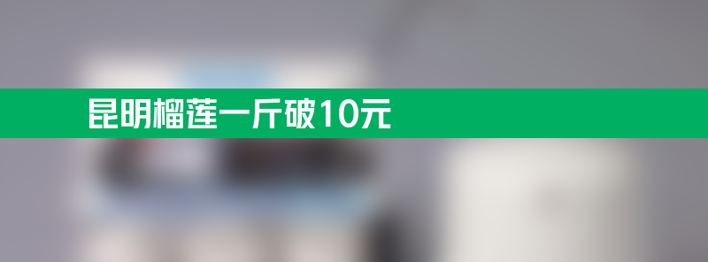 昆明榴莲一斤跌破10元 批发区竞相抢购