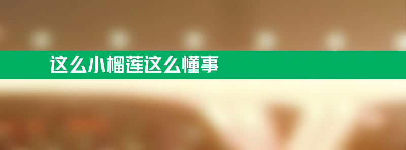 这么小的榴莲却这么懂事 37元开出4房果肉