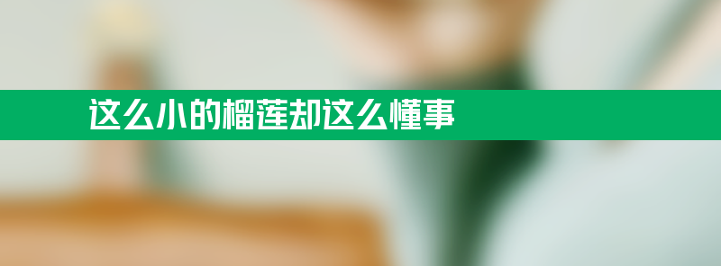 这么小的榴莲却这么懂事 37元买到意外惊喜