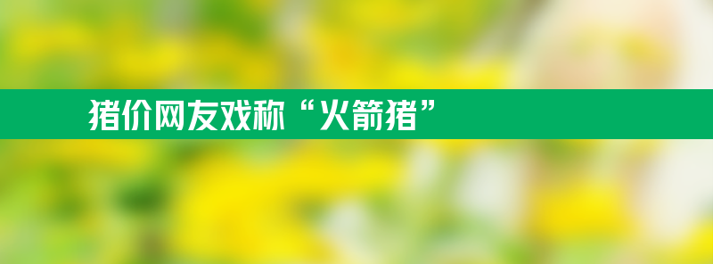 猪价狂飙网友戏称“火箭猪” 局地单日涨幅超过5毛