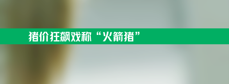 猪价狂飙网友戏称“火箭猪” 养殖行业面临新挑战