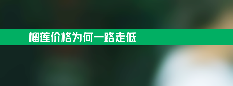 榴莲价格为何一路走低？因迎来最大规模供应高峰