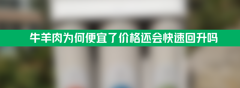 牛羊肉为何便宜了？羊肉价格还会快速回升吗？