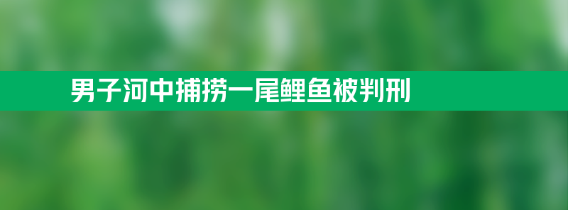 男子河中捕捞一尾鲤鱼被判刑 究竟怎么回事？令人感到不解