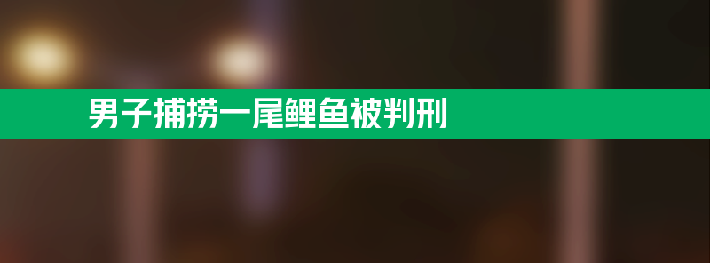 男子河中捕捞一尾鲤鱼被判刑 怎么回事？背后是什么原因？