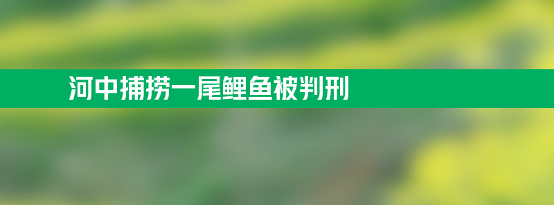 男子河中捕捞一尾鲤鱼被判刑 怎么回事？原因是什么了解细节