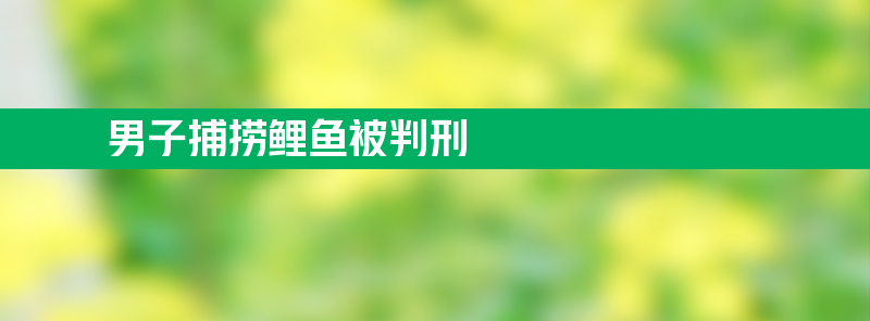 男子河中捕捞一尾鲤鱼被判刑 发生了什么？好奇问问怎么会这样