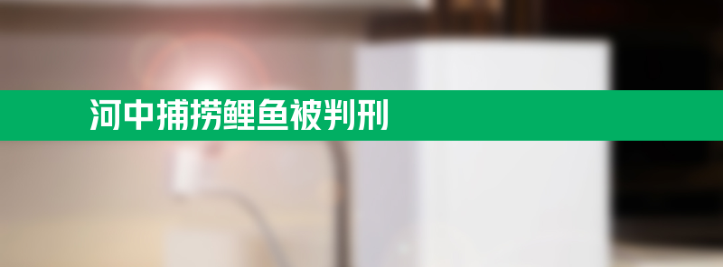 男子河中捕捞一尾鲤鱼被判刑 被认定涉嫌非法捕捞