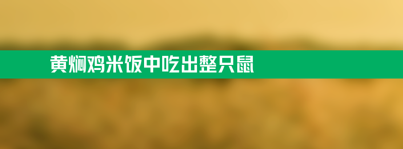 黄焖鸡米饭中吃出整只鼠？企业回应说了啥？