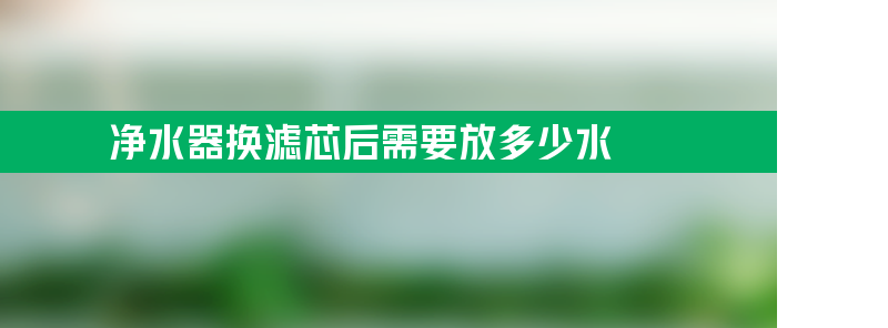 净水器换滤芯后需要放多少水？为什么要放水？