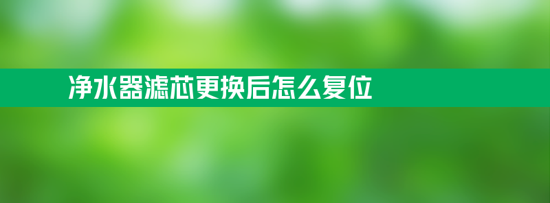 净水器滤芯更换后怎么复位？