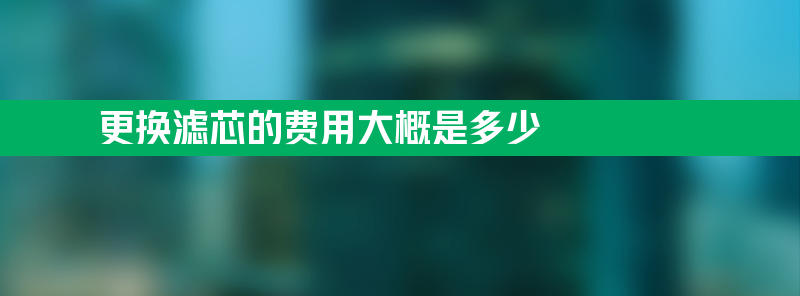 更换滤芯的费用大概是多少？