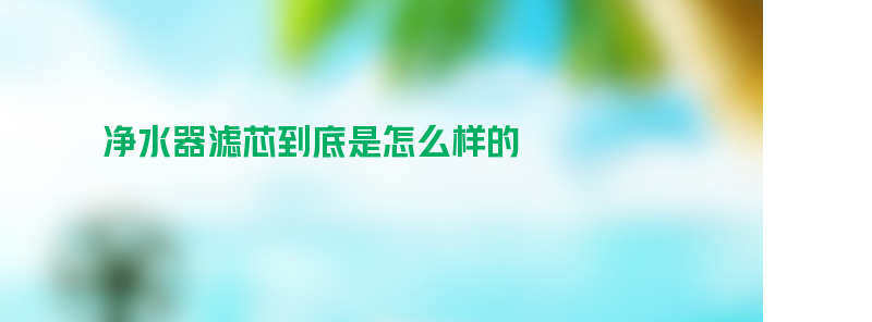 净水器滤芯到底是怎么样的？过滤原理是什么？