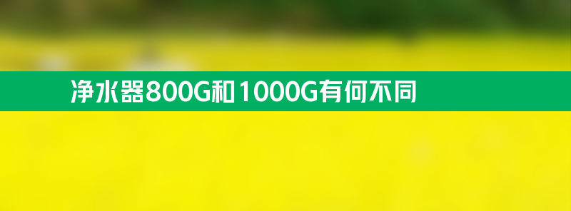 净水器800g和1000g有何不同？