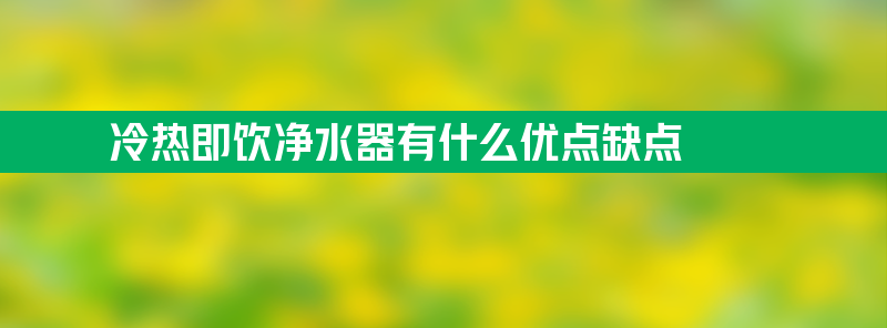 冷热即饮净水器有什么优点缺点？