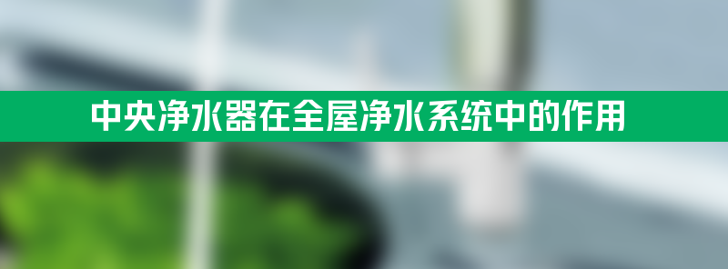 中央净水器在全屋净水系统中的作用及安装注意事项