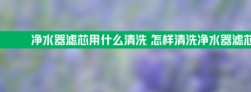 净水器滤芯用什么清洗 怎样清洗净水器滤芯方法