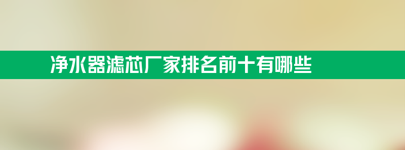 净水器滤芯厂家 净水器滤芯厂家排名前十有哪些