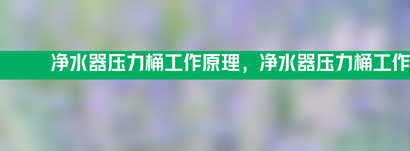 净水器压力桶工作原理 净水器压力桶工作原理结构