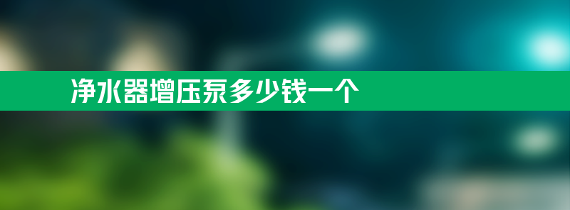 净水器增压泵 净水器增压泵多少钱一个