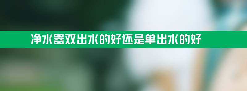 净水器双出水什么意思 净水器双出水的好还是单出水的好