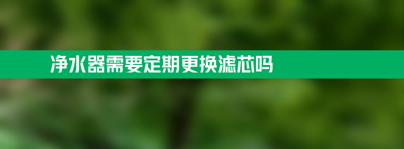 净水器需要定期更换滤芯吗 为什么不建议安装净水器