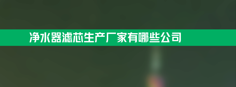 净水器滤芯生产厂家有哪些 净水器滤芯生产厂家有哪些公司