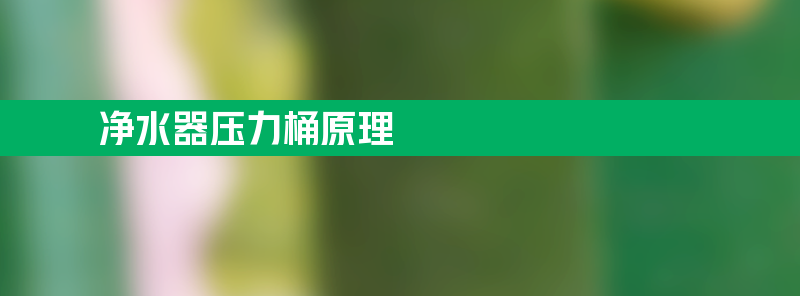 净水器压力桶原理 净水器压力桶原理图气囊破了进水口会不会漏气