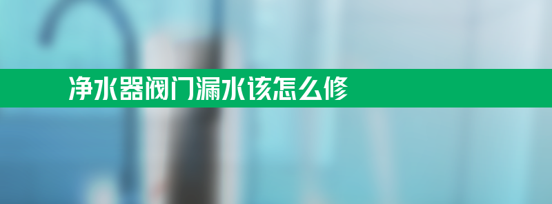 净水器阀门漏水该怎么修 净水器阀门漏水怎么办