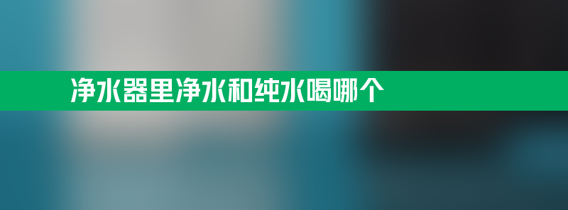 净水器里净水和纯水喝哪个 净水器里净水和纯水喝哪个好一点