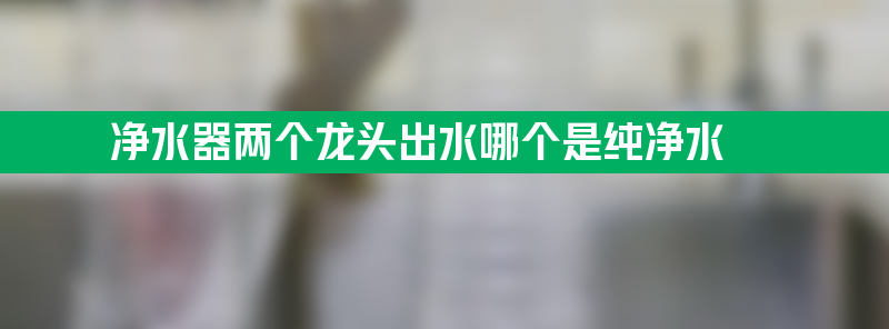 净水器两个龙头出水哪个是纯净水 净水器两个龙头出水哪个是纯净水啊