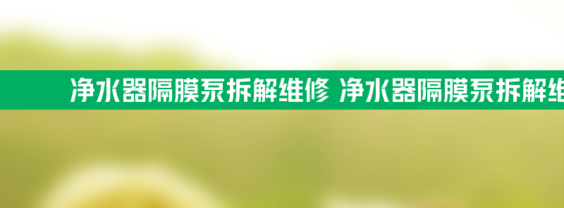 净水器隔膜泵拆解维修 净水器隔膜泵拆解维修方法