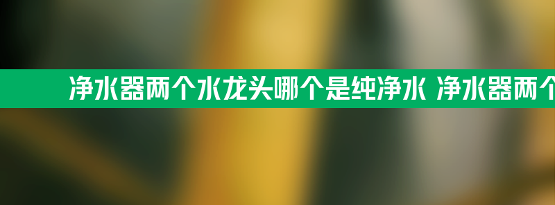 净水器两个水龙头哪个是纯净水 净水器两个水龙头哪个是纯净水的