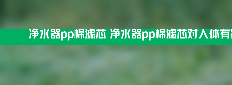 净水器pp棉滤芯 净水器pp棉滤芯对人体有害吗