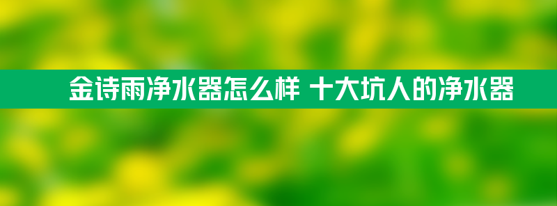 金诗雨净水器怎么样 十大坑人的净水器