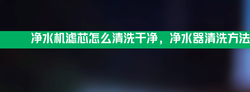 净水机滤芯怎么清洗干净 净水器清洗方法教程