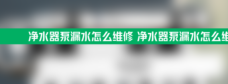 净水器泵漏水怎么维修 净水器泵漏水怎么维修方法教程