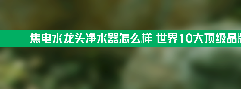 焦电水龙头净水器怎么样 世界10大顶级品牌净水器