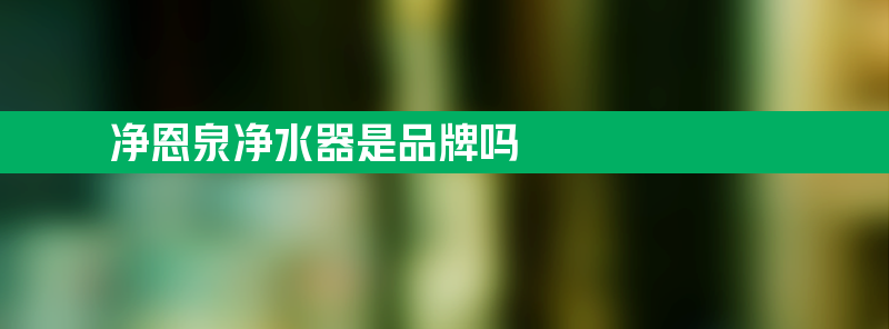 净恩泉净水器是品牌吗 净恩净水器生产厂家