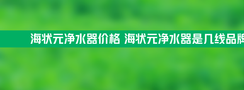 海状元净水器价格 海状元净水器是几线品牌