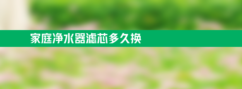 家庭净水器滤芯多久换 家庭净水器滤芯多久换一次好