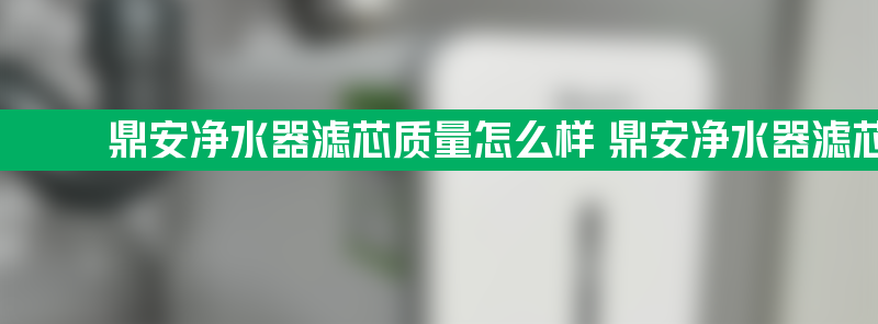 鼎安净水器滤芯质量怎么样 鼎安净水器滤芯质量怎么样呀