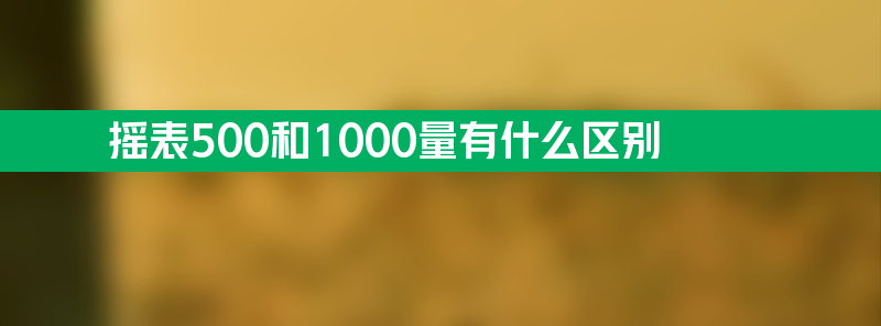 摇表500和1000量有什么区别