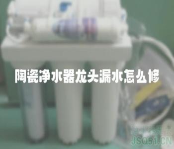 陶瓷净水器龙头漏水怎么修