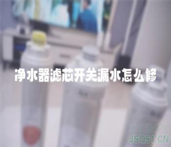 净水器滤芯开关漏水怎么修