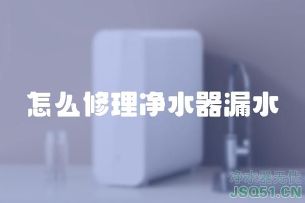 怎么修理净水器漏水