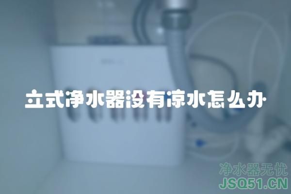 立式净水器没有凉水怎么办